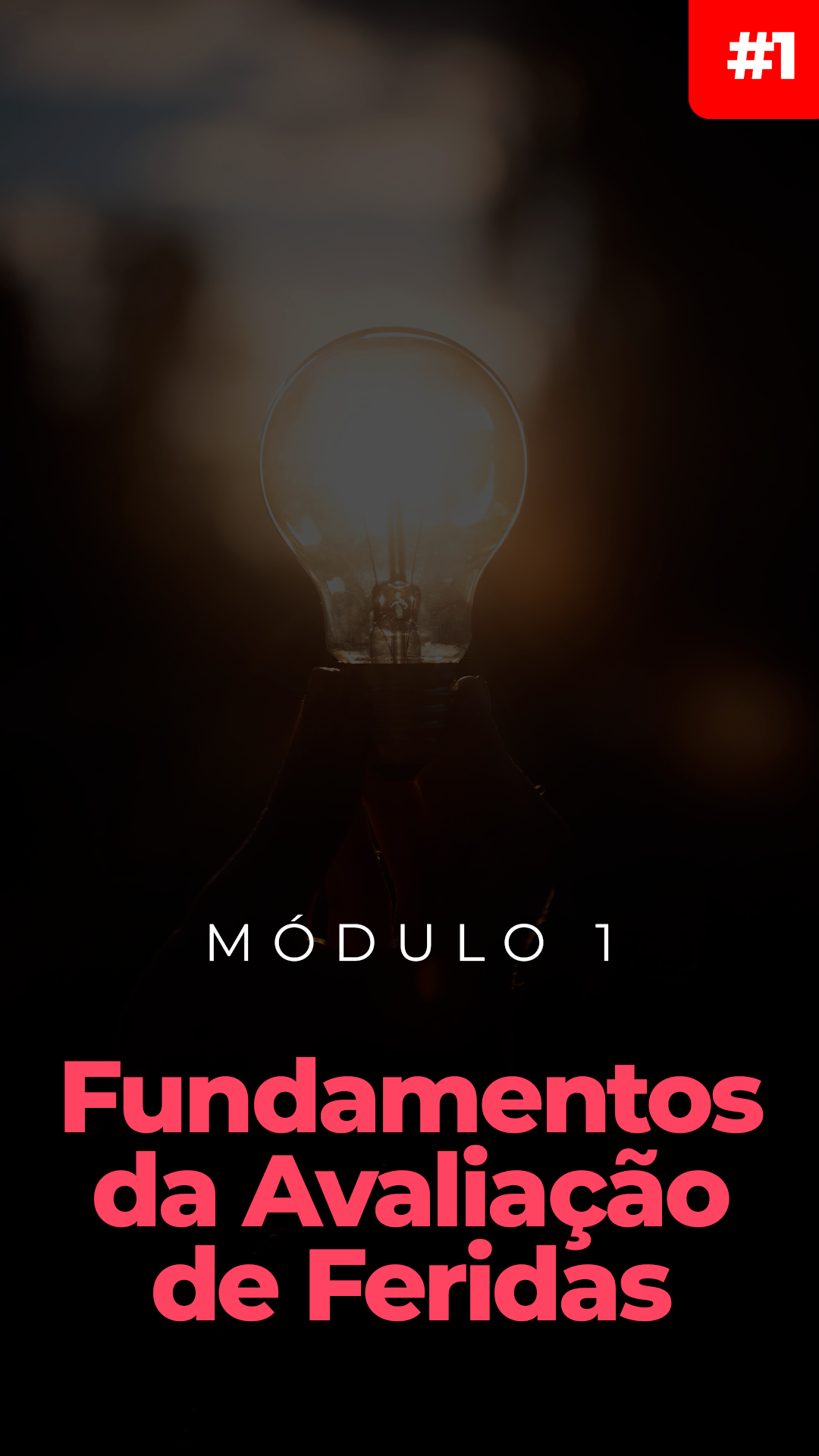 Modulo-1-novo