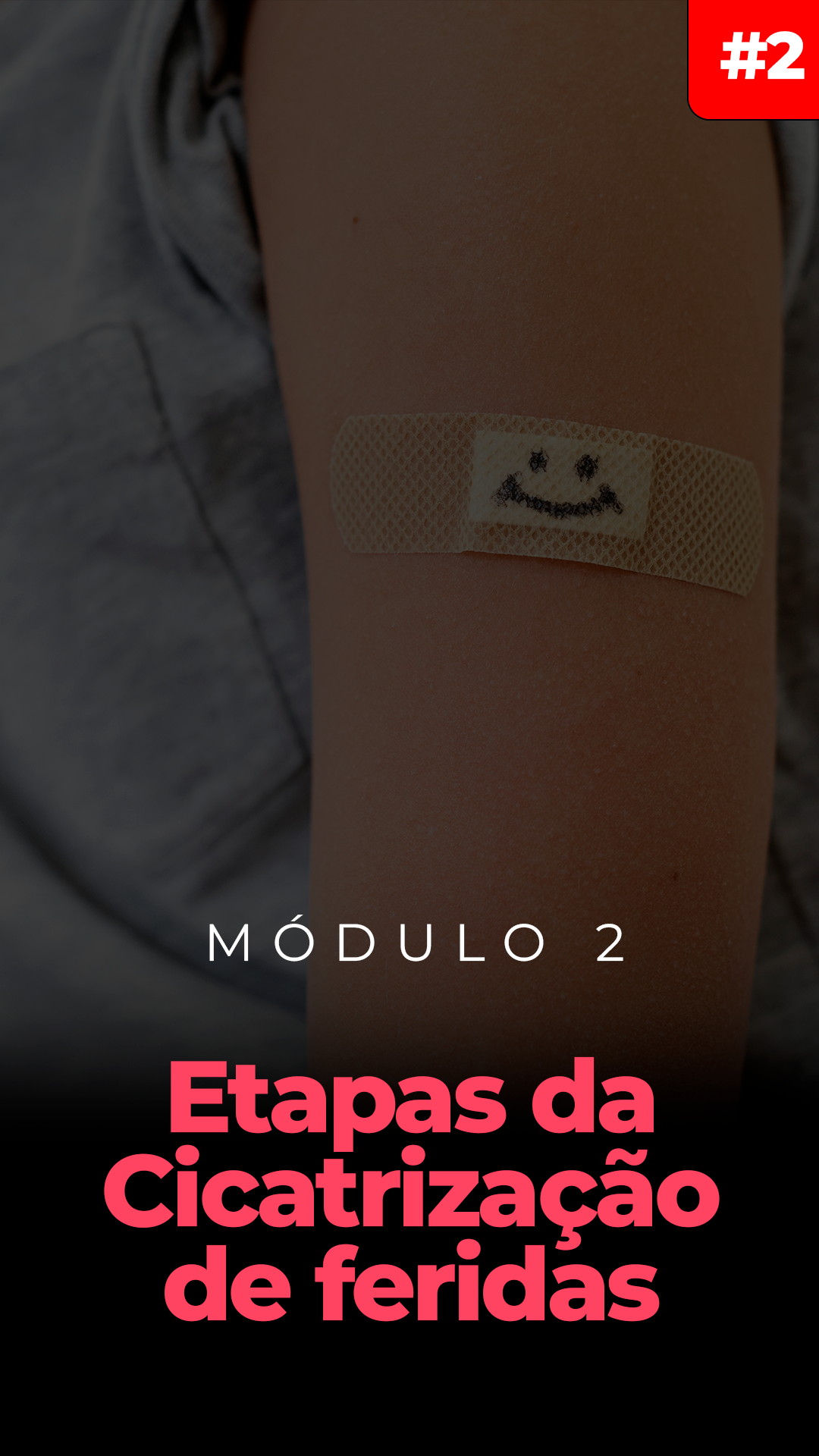 módulo-2-novo